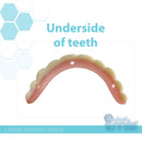Instant Smile - Large Size Handmade Veneer - Original - Fix Your Smile in just Minutes! Instant Smile