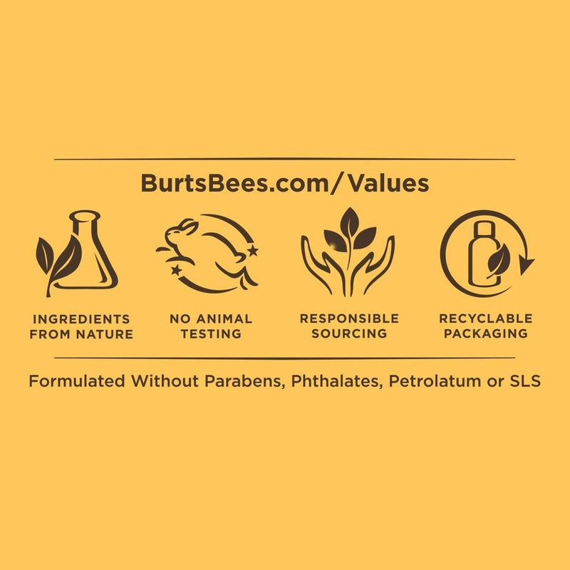 Burt's Bees Renewal Firming Face Cream, Anti-Aging Retinol Alternative, Moisturizing Natural Skin Care, 1.8 Ounce (Packaging May Vary) Burt's Bees