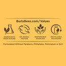 Burt's Bees Moisturizing Lip Balm, Strawberry, 0.15 Ounce Burt's Bees