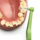 TEPE Angle Interdental Brushes, Dental Brushes for Between Teeth and Gums, Brush Micro Tight Cleaner, Plaque Removal, 0.8 mm, 6 Pk, Green TEPE