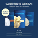 Blueprint by Bryan Johnson Vegan Protein Meal Replacement – Plant Based Hemp Protein with 27g Protein Per Serving – Low Calorie, Flavored Protein for Women & Men – Dairy Free – 15 Servings - Banana Infinity Warehouse