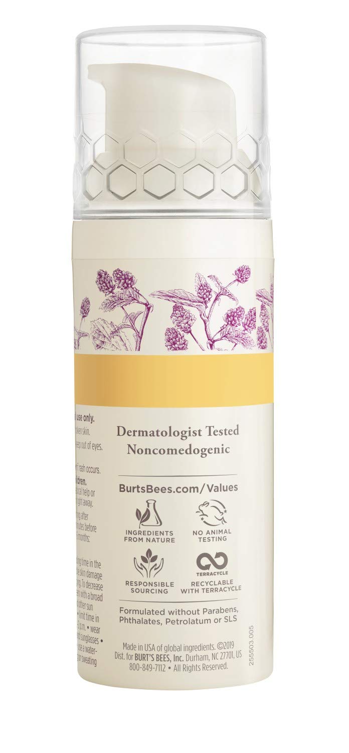 Face Lotion, Burt's Bees Retinol Alternative Facial Moisturizer, Anti-Aging Sunscreen with SPF 30, Firming Day Skin Care, 1.8 Ounce (Packaging May Vary) Burt's Bees