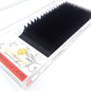BEYELIAN Easy Fan Eyelash Extension Mega Volume Lash Extensions Light Black Self Fans Stylists Professional Salon Use Super Thin 20D 0.03 C Curl 17 &18mm BEYELIAN