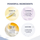 Gluten Free Face Wash - Gentle Gel Facial Cleanser - 100% Natural Ingredients - Gently Removes Dirt, Debris, and Makeup - Uses Powerful Aloe & Rosehip Oil - Anti Aging Alana Mitchell