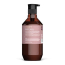 THEORIE Marula and Seaberry Smoothing Shampoo - Smooth & Tame - Sulfate Free - Suited for Frizzy & Unruly Hair - Protects Color and Keratin Treated Hair, Pump Bottle 400mL Theorie
