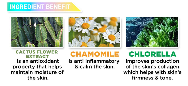 J.CAT BEAUTY Aquasurance Compact Foundation - Golden Beige J.CAT BEAUTY