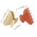 JIRIS 2PCS 2.75 inches Hair Claw Banana Clips tortoise Barrettes Celluloid French Design Barrettes celluloid Pattern print Small Fashion Accessories for Women Girls(SET5) JIRIS
