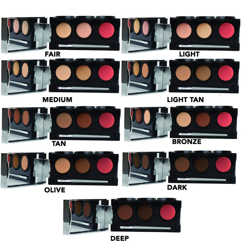 Tattoo Cover Up Makeup, Bruise Concealer, Waterproof, Smudge proof, 3 colors + brush, by Dermaflage, 6.9g/.24oz Dermaflage