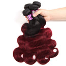 Ombre Burgundy Brazilian Body Wave Hair 4 Bundles 100% Unprocessed Human Hair Bundles T1B/99J Wet and Wavy Human Hair Weave Bundles for Black Women (12"14"16"18") ALISFEEL