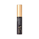 Kiss Vluxe by I Envy Biotin Strip Lash Adhesive Black Kiss Store