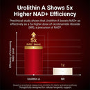 1000mg Urolithin A Supplement with NAD+ CoQ10 Resveratrol PQQ, 120 Softgels | 99% Purity, USA-Made/Lab Tested Longevity Complex for Mitochondrial Support, Cellular Health, Muscle Function, Healthy Aging Infinity Warehouse