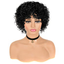 MISSJAY Curly Wigs for Black Women, Brazilian Human Hair Wigs Water Wave None Lace Front Wigs Short Curly Bob Wigs Human Hair(8 Inch, 1B) MISSJAY