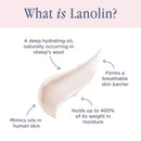 Lanolips Tinted Balm Rose - Natural Lanolin-Based Balm with Color + Gloss for Shiny, Hydrated Lips (12.5g / 0.44oz) Lanolips
