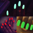 Dip Powder Nail Kit - 10 Dip Powder Colors Refill with Glow in The Dark Nail Dip Powder ASTOUND BEAUTY Store