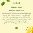 Method Foaming Hand Soap, Lemon Mint, 10 oz, 3 pack, Packaging May Vary Method Store