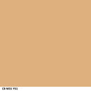 COVERGIRL Ready Set Gorgeous Pocket Powder Foundation Medium/Deep (305/310), .37 oz (packaging may vary) COVERGIRL Store