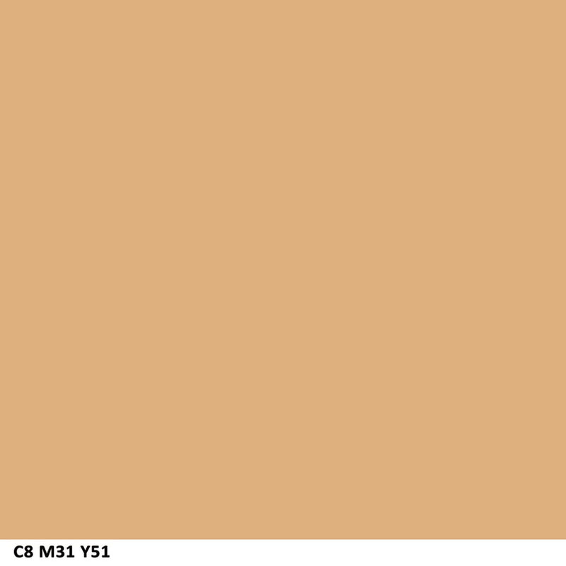 COVERGIRL Ready Set Gorgeous Pocket Powder Foundation Medium/Deep (305/310), .37 oz (packaging may vary) COVERGIRL Store