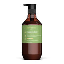 THEORIE Green Tea and Bamboo - Energizing Shampoo - Invigorate & Strengthen, Irresistible Scent of Green Tea, Jasmine, Amber & Cypress - For Damaged & Dull Hair - Color & Keratin Safe , 400mL Theorie
