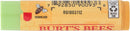 Burts Bees Cucumber Mint Moisturizing Lip Balm for Women, Orange, 0.15 Oz Burt's Bees