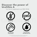 aeternum Urolithin A -UA Capsules - 500mg -180 Capsules (1,000mg Per Serving) Infinity Warehouse