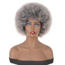PWEOUKE 4 Inch Grey Afro Wig for Black Women Lightweight Synthetic Wig Fluffy Afro Curly Hair for Party and Daily High Temperature Fiber Short Afro Kinky Curly Wigs Full Wigs GREY
