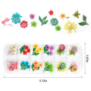 UOONY 2 Boxes Dried Flowers Resin Supplies, 24 Colors 3D Mini Real Natural Flowers Sticker for Nail Art with Tweezers for Tips Manicure Decor UOONY