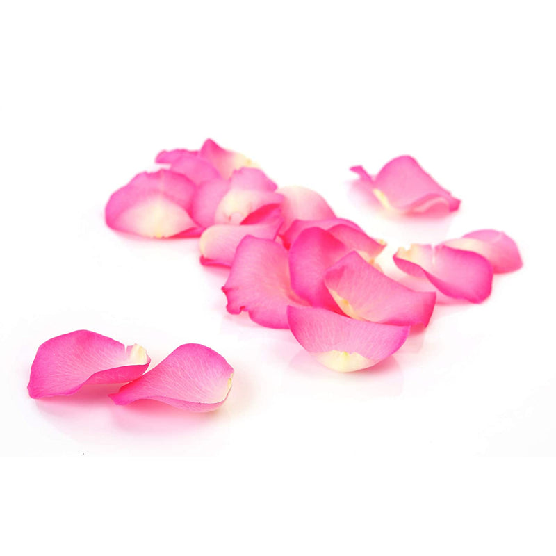 FOREO UFO Activated Mask Treatment for Anti-Aging Beauty Coquette