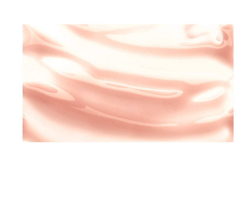 Lip Balm Stocking Stuffer, Burt's Bees Lip Shine Holiday Gift for Women, 100% Natural Makeup, Whisper Burt's Bees