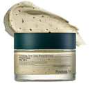 Pyunkang Yul Calming Pore Clear Wash Off Mask 100 ml Infinity Warehouse