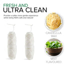 Biodegradable Mint Dental Tooth Lace Floss - 2X Refillable Flossers - 100% Organic Natural and Compostable Teeth Silk Spool - Waxed with Candelilla Wax & Eco-Friendly Zero Waste Packaging BAMBOEARTH