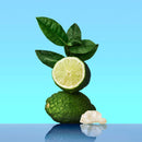 Calvin Klein ck one Calvin Klein