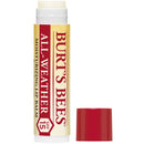 Burt's Bees Lip Balm, Moisturizing SPF 15 Lip Care, 100% Natural with Sunscreen, Water Resistant, All-Weather (2 Pack) Burt's Bees
