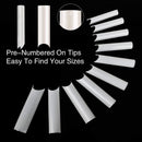 480PCS Extra Long C Curve Nail Tips and Glue, 2 Packs Natural and Clear Acrylic Nail Tips for Acrylic Nails Professional Set, 10 Sizes Artificial XXL Long Straight Square French False Nail Tips Deciniee