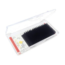 BEYELIAN Easy Fan Eyelash Extensions Mega Volume Self Fanning Lashes Matte Black Stylists Professional Salon Use Practice Super Thin Light Mink 20D 0.03 D Curl Mix 8-15mm BEYELIAN Store