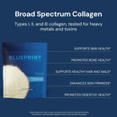 Blueprint Bryan Johnson Hydrolyzed Collagen Peptides Powder – Type I, II & III Collagen for Women & Men – Unflavored Protein Supplement for Hair, Skin, Nails, Joints & Cartilage – 20g – 30 Servings Infinity Warehouse