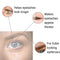 Organys Lash & Brow Booster Serum Gives You Longer Fuller Thicker Looking Eyelashes & Eyebrows. Bestselling Conditioner Stimulates The Appearance Of Growth & Regrowth. Natural Eye Lash Oil Free Enhancer Organys