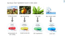BNBG Vita Genic Lifting Jelly Facial Mask Firming 10ea BNBG