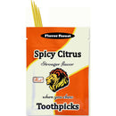Spicy Citrus Flavored Cinnamon Toothpicks - 100ct Flavor Forest