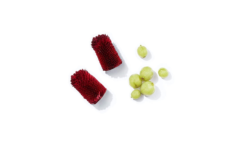 Alterna Caviar Anti-Aging Clinical Densifying Shampoo | For Fine, Thinning Hair | Thickens Hair, Protects Scalp | Sulfate Free martinandmark.com