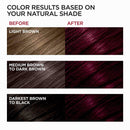L'Oreal Paris Superior Preference Fade-Defying + Shine Permanent Hair Color, 3DB Deep Burgundy, Pack of 1, Hair Dye L'Oreal Paris