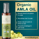 Life & Pursuits Amla Brahmi Hair Oil for Hair Growth - 6.76 Oz Organic & Natural Hair Oil with Coconut, Castor, and Sesame for Healthy & Shiny Hair Life & Pursuits