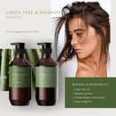 THEORIE Green Tea and Bamboo - Energizing Shampoo - Invigorate & Strengthen, Irresistible Scent of Green Tea, Jasmine, Amber & Cypress - For Damaged & Dull Hair - Color & Keratin Safe , 400mL Theorie