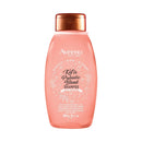 AVEENO Kefir Probiotic Blend Shampoo 12oz Aveeno Store