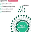 Haroutine Liposomal Vitamin C Gummies and Liposomal Marine Collagen Infinity Warehouse