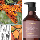 THEORIE Marula and Seaberry Smoothing Shampoo - Smooth & Tame - Sulfate Free - Suited for Frizzy & Unruly Hair - Protects Color and Keratin Treated Hair, Pump Bottle 400mL Theorie