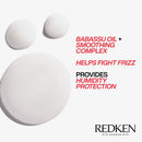 Redken Frizz Dismiss Smooth Force | For Frizzy Hair | Lightweight Smoothing Lotion Spray Detangles & Protects Against Frizz | Sulfate Free | 5 Fl Oz, 6.8 fl. oz REDKEN