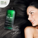 Botanic Hearth Tea Tree Shampoo, Vitamin C, Peppermint, Lavender and Rosemary Oil, Fights Dandruff and Dry Scalp, 16 fl oz Botanic Hearth