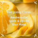 Pharmacopia Citrus Body Bar – Aromatherapy Body Soap with Natural & Organic Ingredients – Vegan Wash Bar for Men & Women, 4.4oz, Pack of 3 Infinity Warehouse