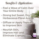 Plant Therapy Lavender Essential Oil 100% Pure, Undiluted, Therapeutic Grade, for Aromatherapy Diffuser and Body Care Use, 10 mL (1/3 oz) Plant Therapy