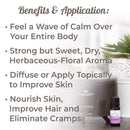 Plant Therapy Lavender Essential Oil 100% Pure, Undiluted, Natural Aromatherapy, Therapeutic Grade 100 mL (3.3 oz) Plant Therapy Essential Oils